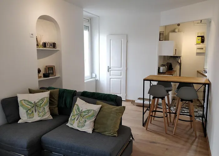 Cosy T2 31M2 - Centre-Ville Dijon - Gare Et Darcy
