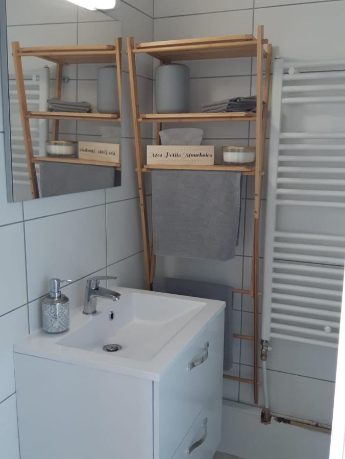 Cosy T2 31m2 - Centre-ville - Gare Et Darcy * Dijon