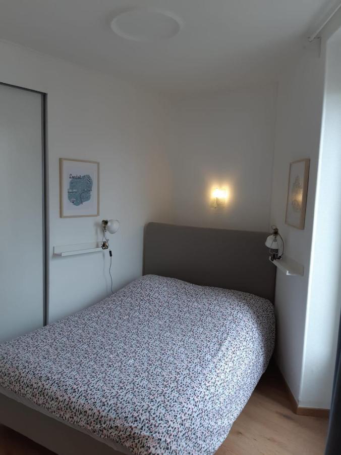 Cosy T2 31m2 - Centre-ville - Gare Et Darcy * Dijon